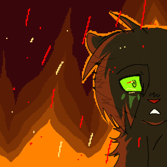 hollyleaf